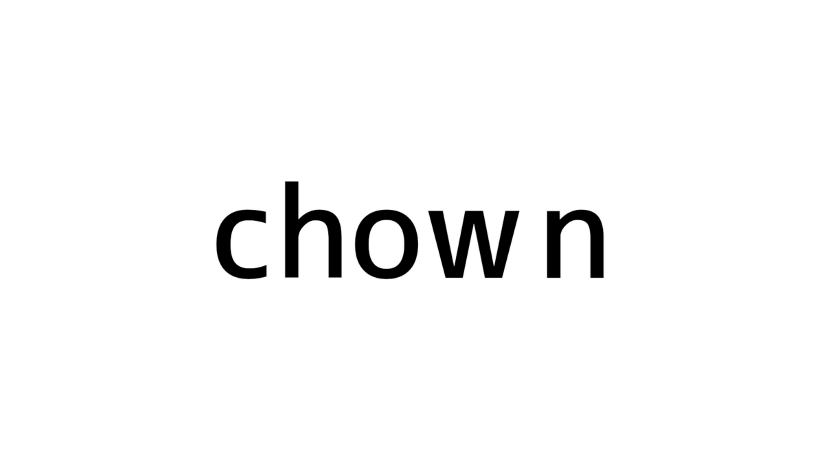 [chown] Run and understand. Change user and group of a file with the chown command